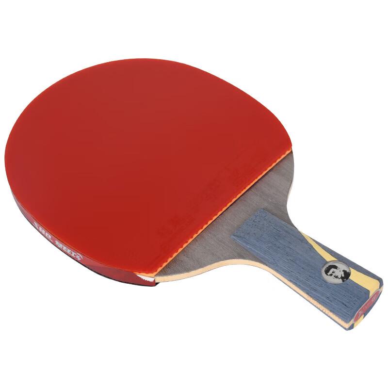 DHS Wang Hao Signature Penhold Table Tennis Racket