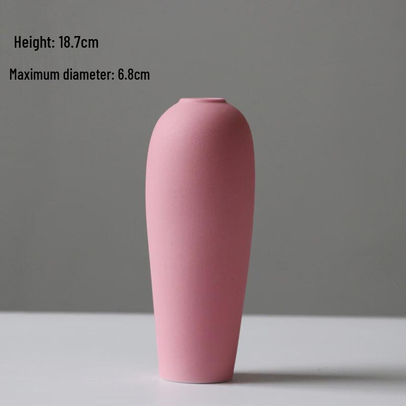 Shangqi Ceramic Minimalist Decorative Vase - Large 2-Pack