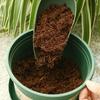 10pcs Coir Soil Disk Promoting Root Growth Fiber Coir Soil Disk 30 X 10mm