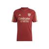 Letter Casual Kortmouwig Voetbalshirt Arsenal Seizoen 23/24 Heren shirt Rood IJ7797