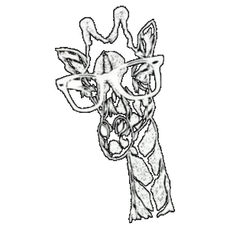 Casual Loose T Shirt Black Giraffe With Glasses Print For Women Everyday Wear Summer Outfits Street Style Fashion Top