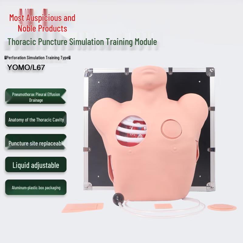 Thoracic Puncture Simulation Training Module