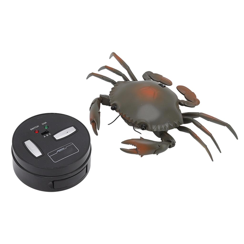 RC Crab Toy Educational Simulated Sea Life Animals Electric Crab Animal Model for Kids Birthday
