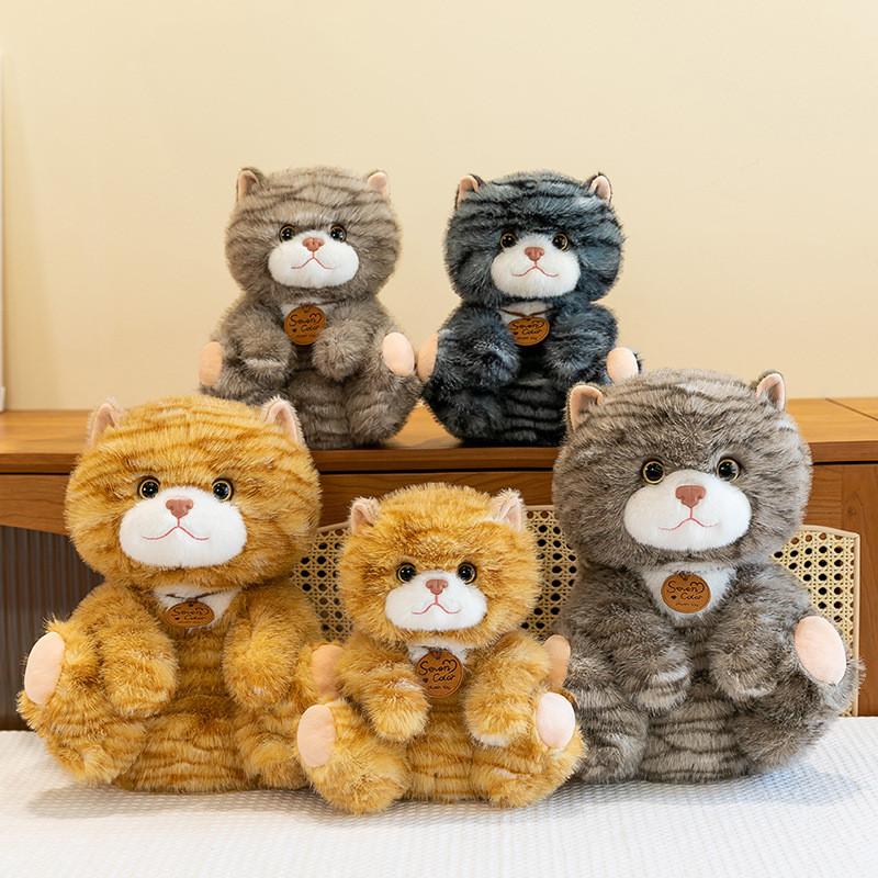 Cat Plush Cute Toys Cartoon Girl Children Bedroom Decoration Presents Dolls