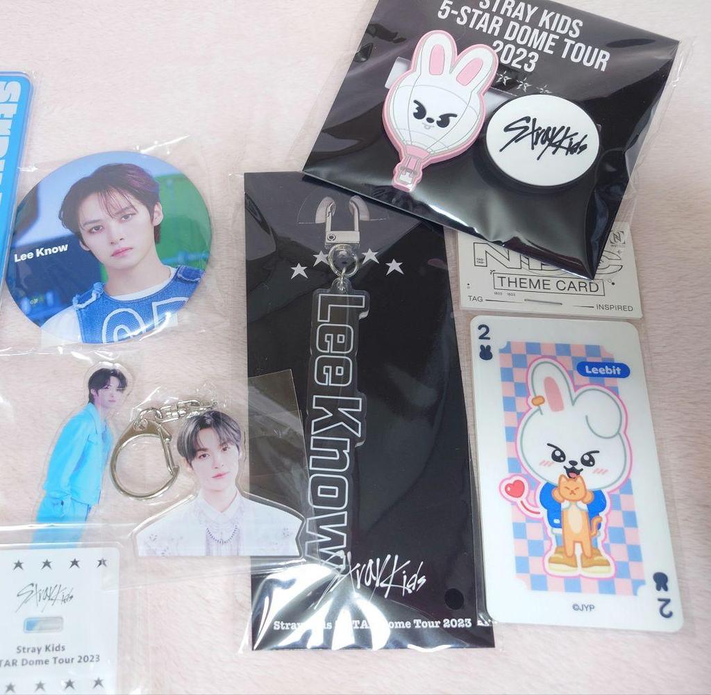 [USED] Reno Stray Kids Acrylic Stand Voice Keychain Leavitt Stray Kids