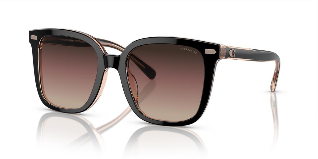 Coach HC8381F CL919 BLUSH 56 Women's Sunglasses, BLACK/TRANSPARENT