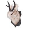 Jackalope Wall Decor Cute Elegant Vintage Deer Head Animal Wall Mount Decoration for Home