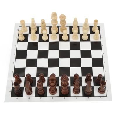 Folding Chess Board Set Folding Chess Board with Chess Pieces Portable Funny Board Game Chess Sets for Holiday Party