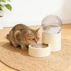 Distributeur d'eau automatique pour chat Anti-fuite Gamelle pour animaux de compagnie Nouvelle gamelle pour nourriture pour chiots chatons animaux de compagnie