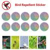 Kell 20pcs Bird Repellent Tape Reflective Anti Bird Scare Reflective Stick Tape