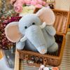 Capybara Doll Cute Claw Machine Doll Plush Toys Children's Birthday Gift Kapibala Doll