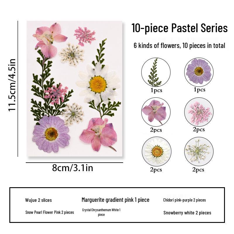 DIY Dried Flower Specimen Sticker Set for Kids: Handmade Pressed Flower Frames & Resin Bookmark Craft Kit