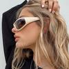 Trend Y2K Steampunk Sun Glasses Glasses Goggle for Ladies Men Classic Sun Eyeglasses Hip Hop Eyewear Trendy Female Eyewear Shades UV400