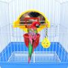Hanging Parrot Bell Toy with Mirror Random Color Parrot Basketball Toy  Lovebird