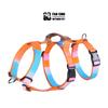 Adjustable Dog Harness With Anti-Escape Design Gradient Color Chest Vest Leash Small Medium Large Dogs