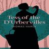 Tess of the DUrbervilles by Thomas Hardy Paperback Book 9781788881890