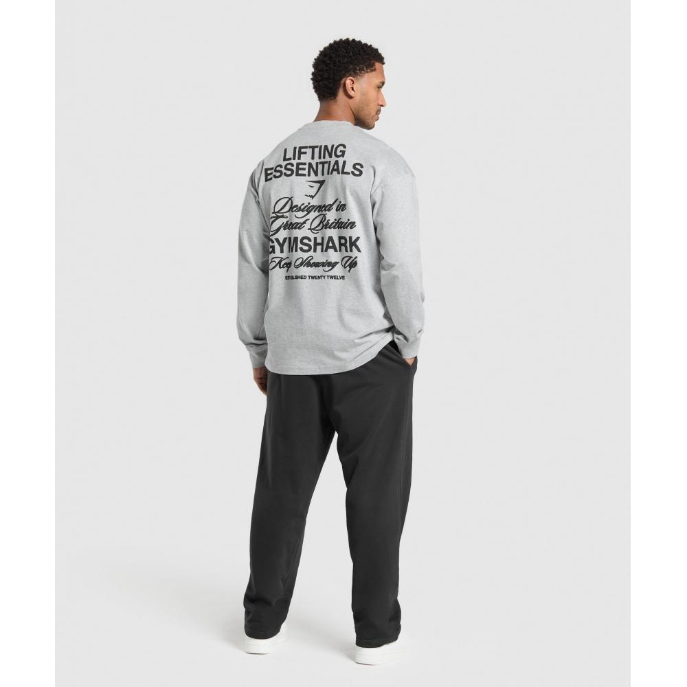 Gymshark EsT 2012 Long Sleeve T shirT lighT Grey Core Marl A2b8q Gbcn