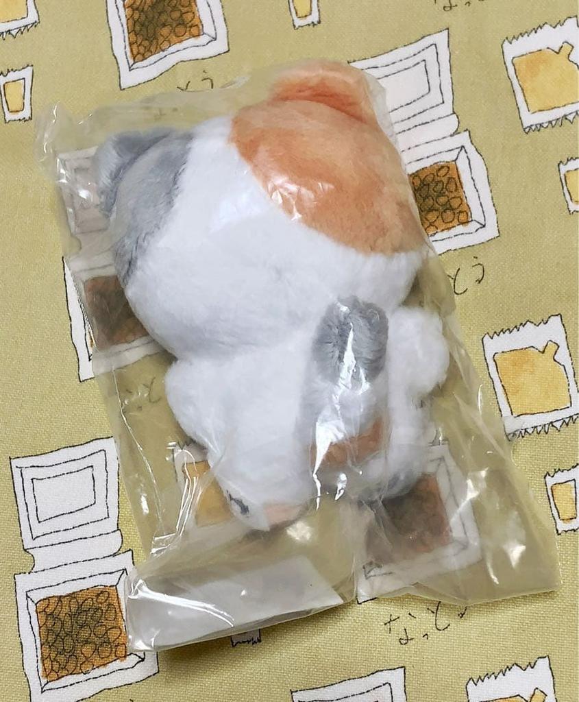 [USED] ENHYPEN Jungwon 10cm Doll Plush Toy