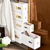 Plastic Panties Socks Box Pull-out Drawer Organizer Practical Underwear Storage Box  Panties