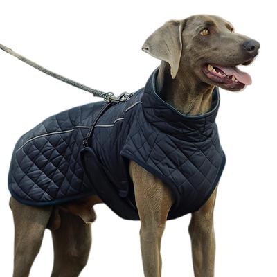 Oblečky a obuv – Kabáty a bundy pro psy