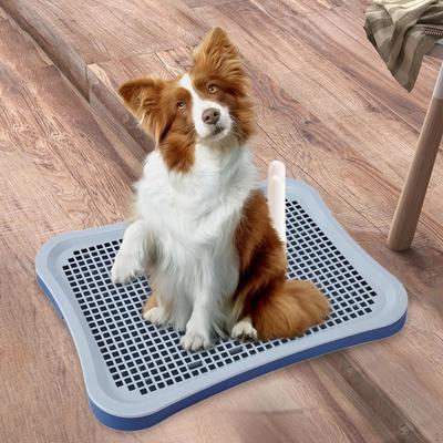 Puppy Potty Tray Removable Non-Slip Urinal Trainer Pee Pad Kitten Bunny Pet Accessories