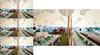 Premium Quality Folding Round Festival Color Decorative Paper Lanterns For Any Occasion