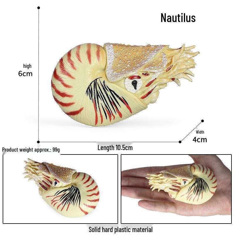 Kids Marine Animal Model Set: Green Crab, Hairy Crab, Blue Crab, Anglerfish - Fish Tank Decoration Toys