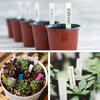 Yousheng 4 Inch Plant Labels Plastic Plant Name Tags Reusable Plant Tag Stakes with Marker Pen for Seedlings Flowers Herbs Vegetables