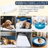Paerduo Washable Pet Super Dog and Cat Toilet Pet Pet Toilet Suitable for Medium and Large Also Usable As a Care Mat for Humans Pads, Absorbent,