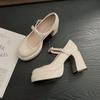 Platform French Mary Jane Women's Shoes 2025 New Spring Black High Heels Thick Heel with Skirt Single Shoes