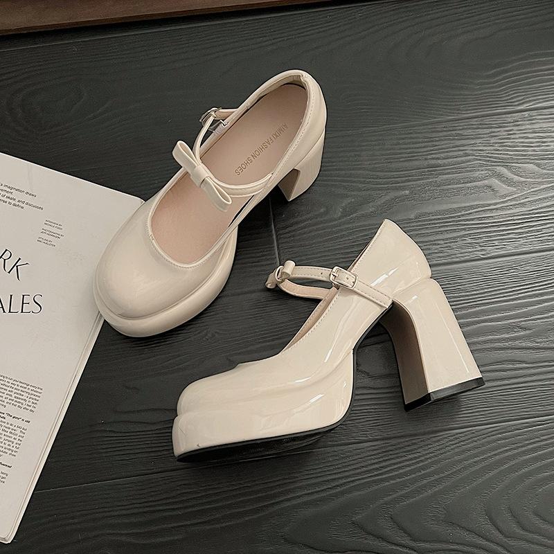 Platform French Mary Jane Women's Shoes 2025 New Spring Black High Heels Thick Heel with Skirt Single Shoes