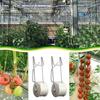 6PC Tomato Cherry Hook Grid Line Greenhouse Tomato Hook Suitable For Supporting Potted Plants