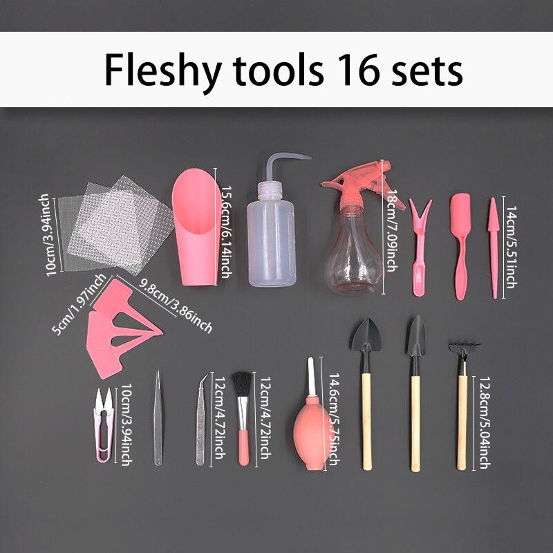 Succulent Potted Plants, Garden Planting, Horticultural Soil Changing Tools, Mini Three Piece Set of Colored Plastic Handle Smal