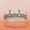 Crown Prince Crown Wedding Birthday Ball Party Halloween Decoration Hairpin