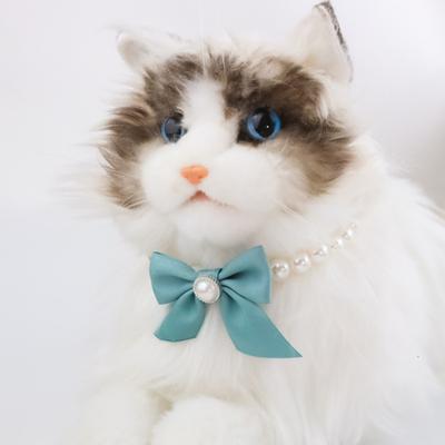 Gatos – Collares
