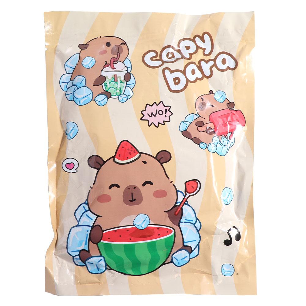 Metric Ruler Cartoon Eraser Stationery Multifunctional Capybara Gift Pack  Measuring Tool