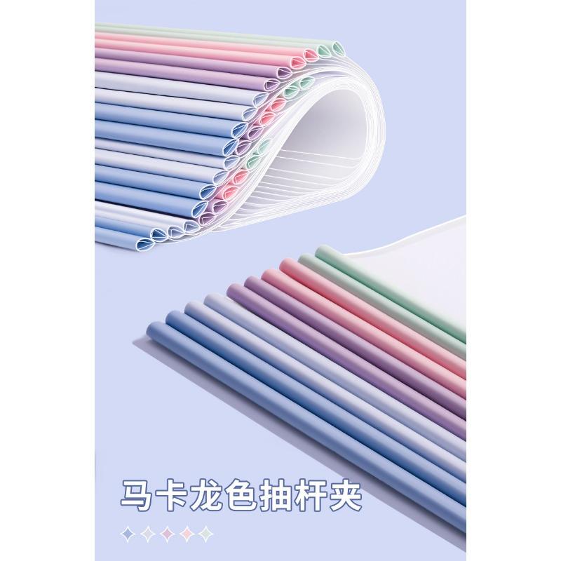 Transparent Waterproof Thicken A4 Morandi Draw Bar File Folder For Students Paper Classification