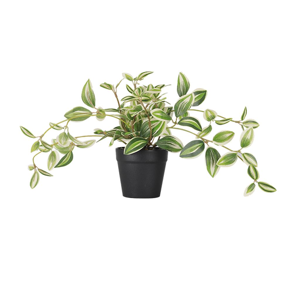 

Mini Artificial Eucalyptus Potted Plant in Black Pot, Indoor Home Office Bathroom Table Farmhouse Decor