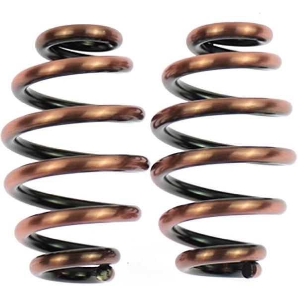 HDBUBALUS Motorcycle Solo Seat Springs 3" Spring Fit for Harley Kawasaki Suzuki Bobber Copper