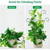 2 Outdoor Climbing Plant Trellises, Black Trellises, Garden Metal Support Piles, Indoor and Outdoor Grape Blossom Vegetables