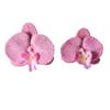 5pcs Simulated Film Butterfly Orchid Flower Head Petals Flower Accessories Headwear Hairclip Handmade Wedding Gift Decoration