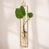 Decorative Wall-mounted Living Room Glass VaseGreen Vine Plant Wall-mounted Water Cultivation Container Hung on The Wall