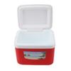 5L Cooler Box Portable Insulin Cooler Box Home Camping Portable Refrigerated Food Cooler Red