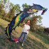 Colorful Children's Fitness Dance Ribbons - Outdoor Dragon Swing for Fun