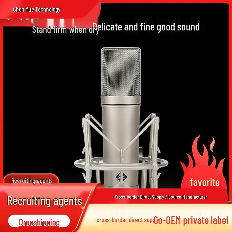 

U87 Large Diaphragm Condenser Microphone for Professional Recording U87