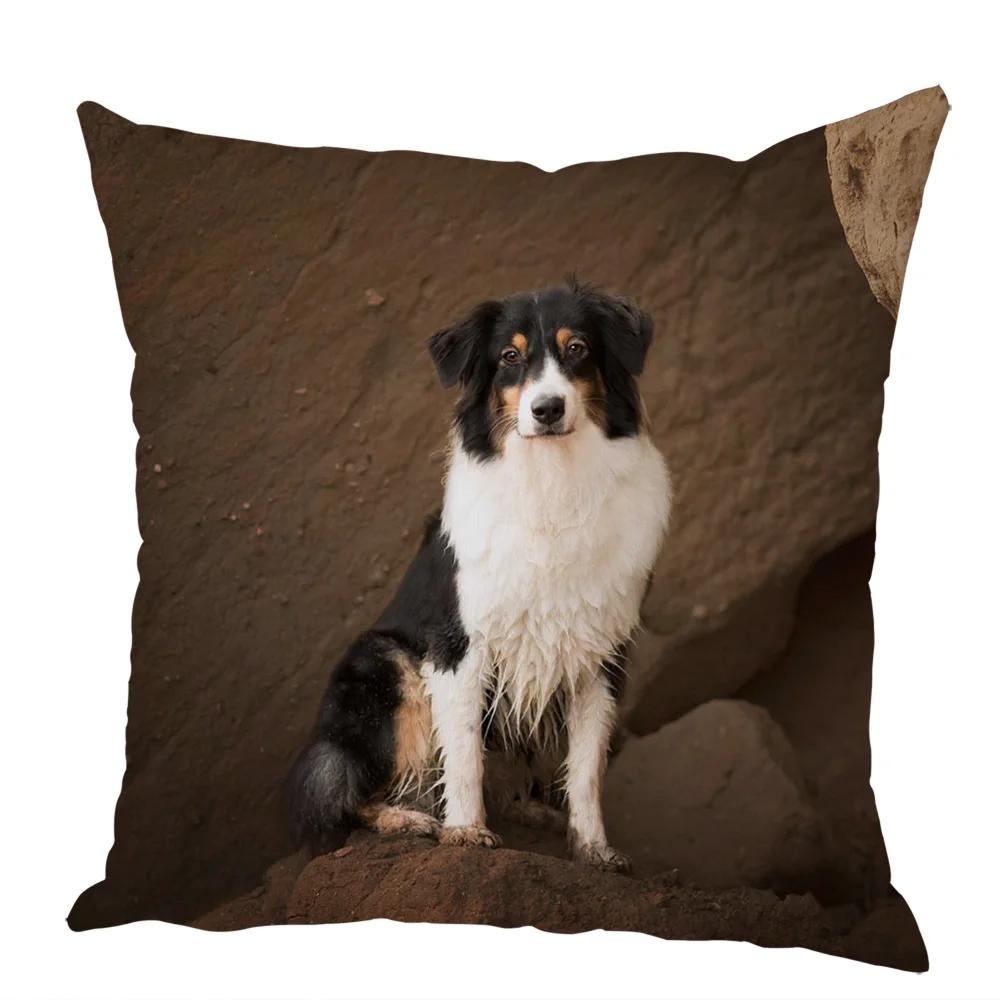 Cute Australian Shepherd Dog Pillow Case Peach Skin Decor Pet Animal Cushion Cover Thorw Pillowcase for Sofa Home Car 45x45cm