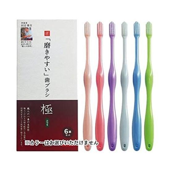 Easy-to-clean toothbrush Extreme Regular Fine bristles 6-piece set LT-53