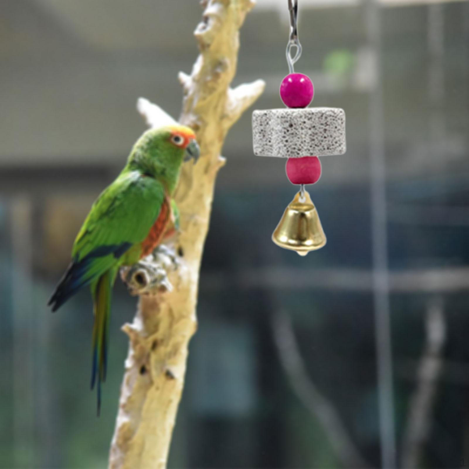 

Grinding Toy with Loud Bell Beak Maintenance Tool Quick Installation Accessory Versatile Lightweight Length 11cm