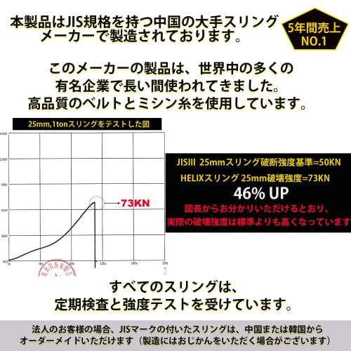 HELIX Sling Belt Width 25mm Working Load 1000kg Nylon Sling Lifting Traction Belt Sling 1T Japanese Specifications Included [Set of 2] (3m)
