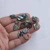 New Zealand Abalone Shell Pendant Charm - Ancient Style Hairpin & DIY Earring/Clothing Accessory.